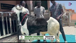 BERGERIE CASAFRIQUE WAKEUR CHEIKHNA CHEIKH SADBOU TEL77 655 92 80 [upl. by Kahle692]