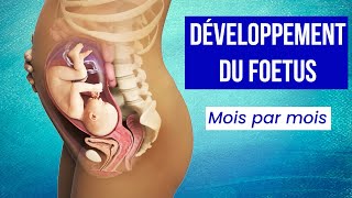 LA GROSSESSE  Le Développement du Foetus Mois par Mois [upl. by Drazze]