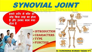 संधि किसे कहते हैं। Details of Synovial Joint  Joint  classification of joint  joint of body [upl. by Langley615]