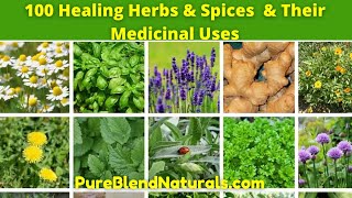 Top 100 Best Healing Medicinal Herbs Spices And Plants Names Health Benefits And Medicinal Uses [upl. by Anafetse]