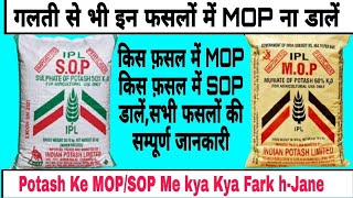 Potash MOP Kis Fasal Me Or SOP Kis Fasal me Dale Sabhi Faslon ki Full Jankari KhetiDiscovery [upl. by Barayon]