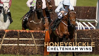 HONEYSUCKLES 3 CHELTENHAM FESTIVAL WINS [upl. by Souvaine]