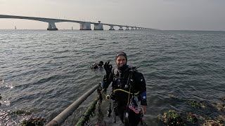 DuikenNederlandZeelandZeelandbrugvan West naar Oost [upl. by Fayette]