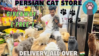 😱Free Persian Cat  😻Persian Cat Store  All over 🇮🇳 Delivery  Giveaway  Well trained petshop [upl. by Rekab]