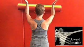 3 Exercises To Correct A Winged Scapula [upl. by Flip]