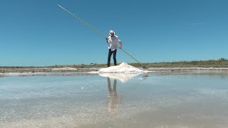 Guérande  récolte du sel dans une saline centenaire [upl. by Hudgens]