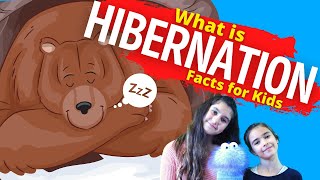 What is Hibernation  Hibernation For Kids [upl. by Pippas804]