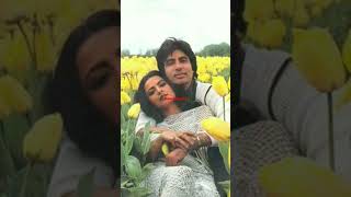 silsila movie ka best song [upl. by Eimmac]