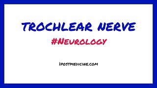 Trochlear Nerve  Neurology [upl. by Asecnarf979]