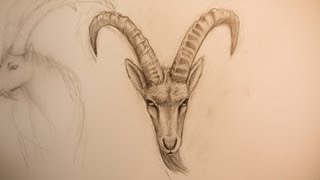 ✐ ZEICHNE EINEN STEINBOCK  HOW TO DRAW A CAPRICORN TIME LAPSE [upl. by Delano526]