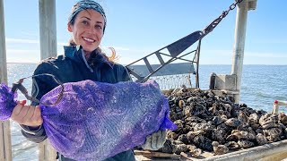 Commercial OYSTER Fishing in the Louisiana Bayou Catch CleanCook [upl. by Ely]