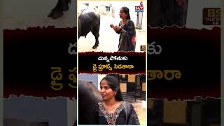 దున్నపోతుకు డ్రై ఫ్రూట్స్ పెడతారా sadar swapnayadav bull sadarfestival bstalkshow bull [upl. by Beale]