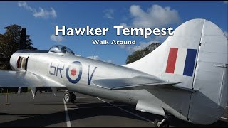 Hawker Tempest Walk Around [upl. by Gearard]