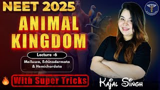 ANIMAL KINGDOM for NEET  NCERT  NEET 2025  Class 11 CBSE [upl. by Anaejer]