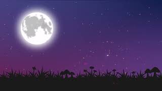 Beautiful Night Scene Animation  No Copyright Free Video [upl. by Staw159]