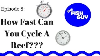 Ep 8  How Fast Can You Cycle a New Reef Tank [upl. by Esyned930]