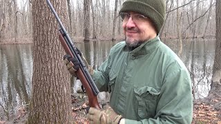 I Discuss Social Cues Rabbits People And The Beeman QB78 As I Plink At Close Range Pellet Rifle [upl. by Ecyrb47]