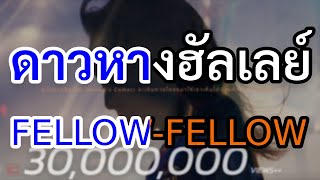 KARAOKE ดาวหางฮัลเลย์ Halleys Comet  fellow fellow [upl. by Asp]