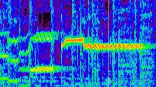 Spectrogram of quotDivas Dancequot performed by Laura aka disneydiva7 [upl. by Nylhsoj]