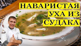 Уха из судака от Volloha  Уха на костре  ENG SUB [upl. by Nylissej]