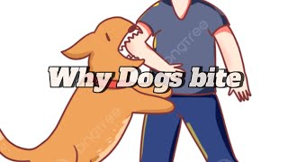 Why Dog bites  Accesstoanewjourney Aunnaqvi Aunnaqvi [upl. by Grimes]