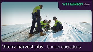 Viterra Australia harvest jobs  what is bunker operations [upl. by Eciralc]