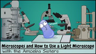 Microscopes and How to Use a Light Microscope [upl. by Ytoc]