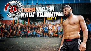 Raw Training at Tiger Muay Thai Part 1 [upl. by Kirwin]