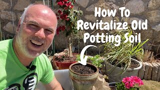 DIY Potting Soil Recipe  Easy amp CostEffective [upl. by Wilkie]