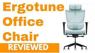 Ergotune Supreme Office Chair Reviewed [upl. by Elesig]