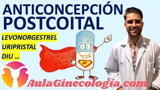 😨 ANTICONCEPCIÓN POSTCOITAL 😨 LEVONORGESTREL URIPRISTAL DIU  Ginecología y Obstetricia [upl. by Azila]