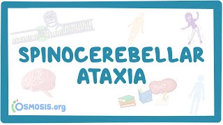 Spinocerebellar ataxia  causes symptoms diagnosis treatment pathology [upl. by Introk]