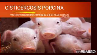 CISTICERCOSIS PORCINA [upl. by Harvey]