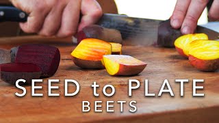 Seed to Plate  Beets E2 [upl. by Yelnikcm398]