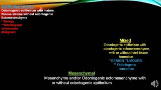 Epithelial Odontogenic Tumors [upl. by Eislek813]