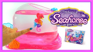 My Magical Seahorse  Water Wonderland  your own Pet Seahorse [upl. by Xylon]