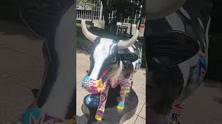 Asi se ven las vacas en Reforma COW PARADE 2024 8 [upl. by Angelico]