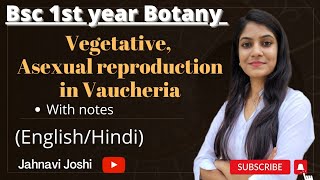 Vaucheria Vegetative Asexual reproduction NotesBsc 1st year Botany [upl. by Amikehs]