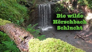 Durch die wilde Hörschbach Schlucht [upl. by Hooke]