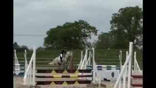 Westonbirt Schools Equestrian Team [upl. by Assirehs916]