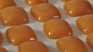 Caramels Recipe Demonstration  Joyofbakingcom [upl. by Aerdnua268]