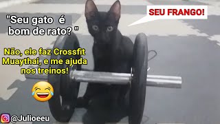 Assim era o treinamento ninja do Júlio criança 😾😂 Júlio e Eu 😾🧔🏻 [upl. by Allis]