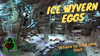 ARK SURVIVAL EVOLVED LOST ISLAND ICE WYVERN EGGS [upl. by Nosraep]