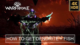 How To Get Dendrite Blastoma amp Amniophysi Barbisteo Vitreospina Fish  Warframe [upl. by Marquez]