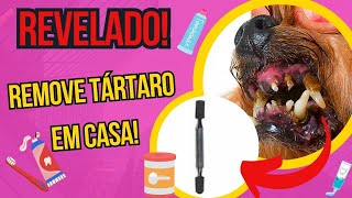 COMO LIMPAR OS DENTES DO CACHORRO COM BAFO FORTE E TÁRTARO EM CASA SEM ANESTESIA RECEITA CASEIRA [upl. by Nnylorac]