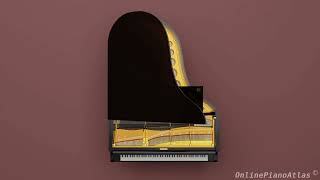 The Rebirth of the Steinway Square Piano Serial Number 20232 New York 1869 [upl. by Eyar]