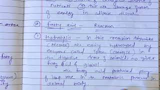 fats and oils fatty acid reactions b pharm msc chemistry hydrogenation reactions fatty acidhydrolys [upl. by Jr444]