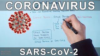 Coronavirus  SARS CoV2 [upl. by Hana]