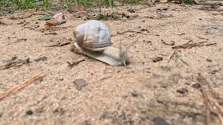 Biergartenweg Neunkirchen Kurzvideo [upl. by Nitsej]