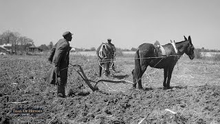 The Legacy of African American Farmers  Trail of History [upl. by Giffard]